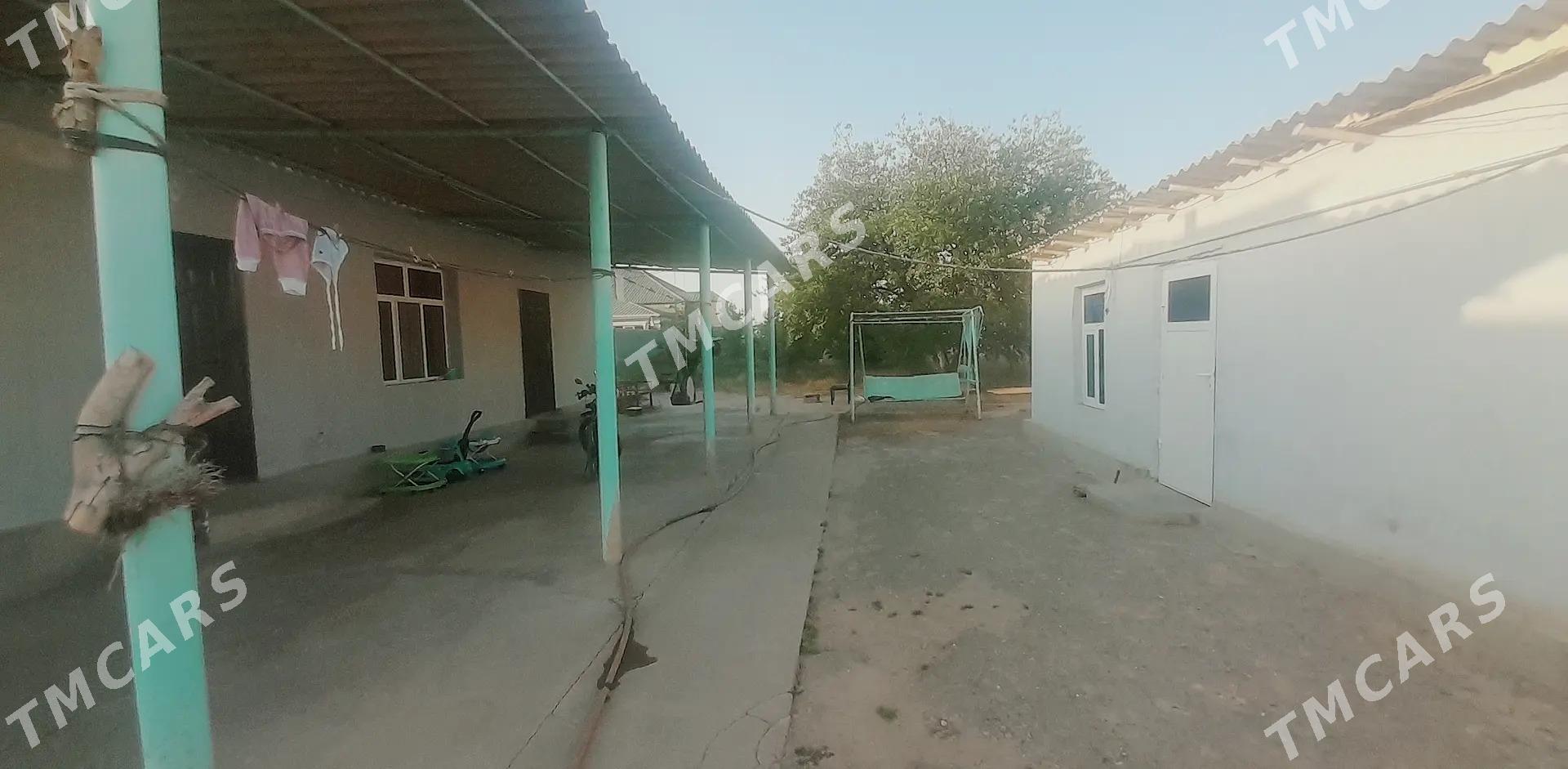 bagyr - Aşgabat - img 3