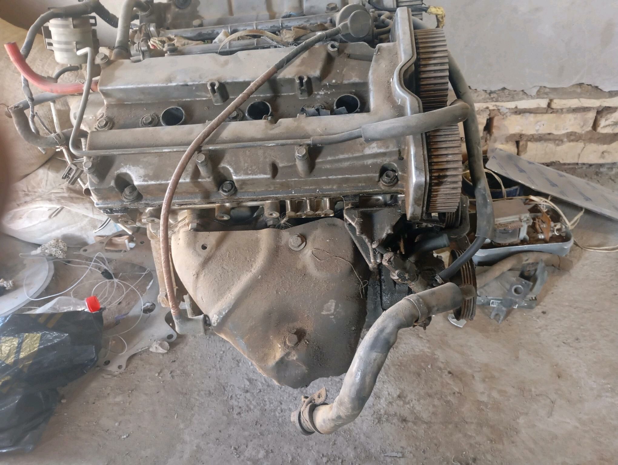 starter 600 TMT - Boldumsaz - img 2