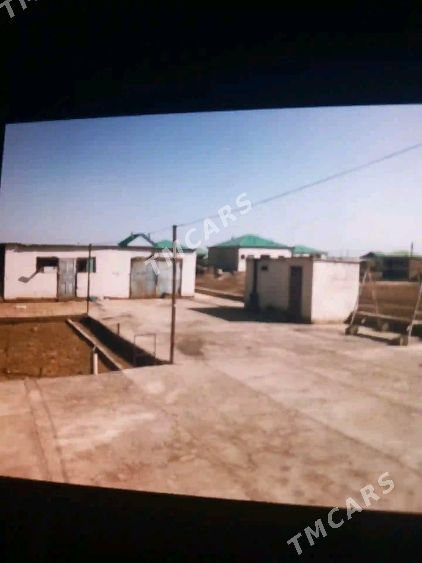 Pylan jay - Babadaýhan - img 3