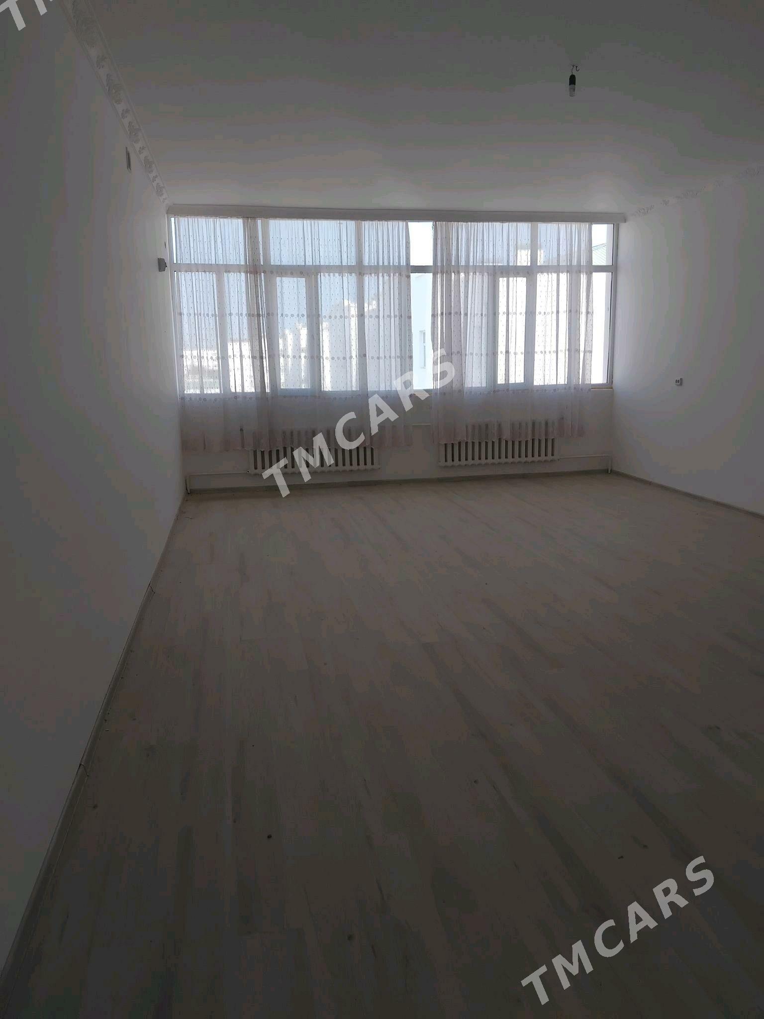 satylyk elitga - Daşoguz - img 2