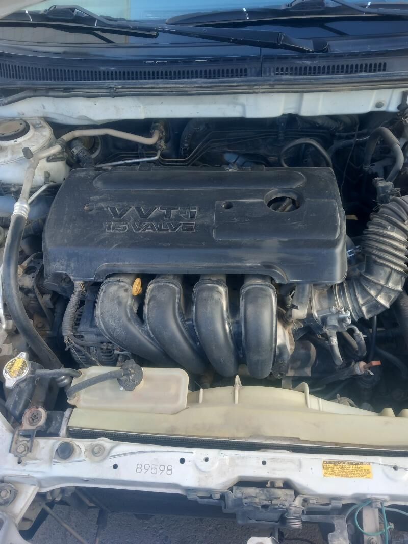 korolla motor zapcast 50 TMT - Arkadag - img 3