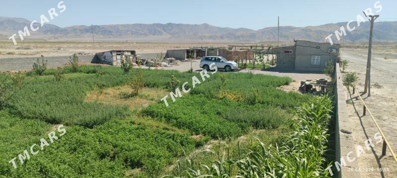 daca dowgala baherden obasy - Бахарден - img 10