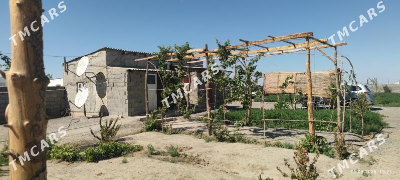 daca dowgala baherden obasy - Бахарден - img 9