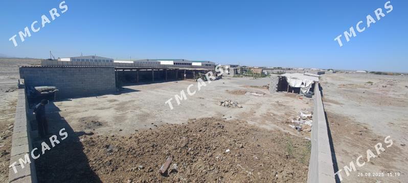 daca dowgala baherden obasy - Бахарден - img 6