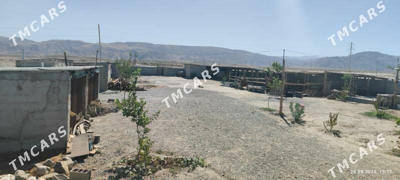daca dowgala baherden obasy - Бахарден - img 5