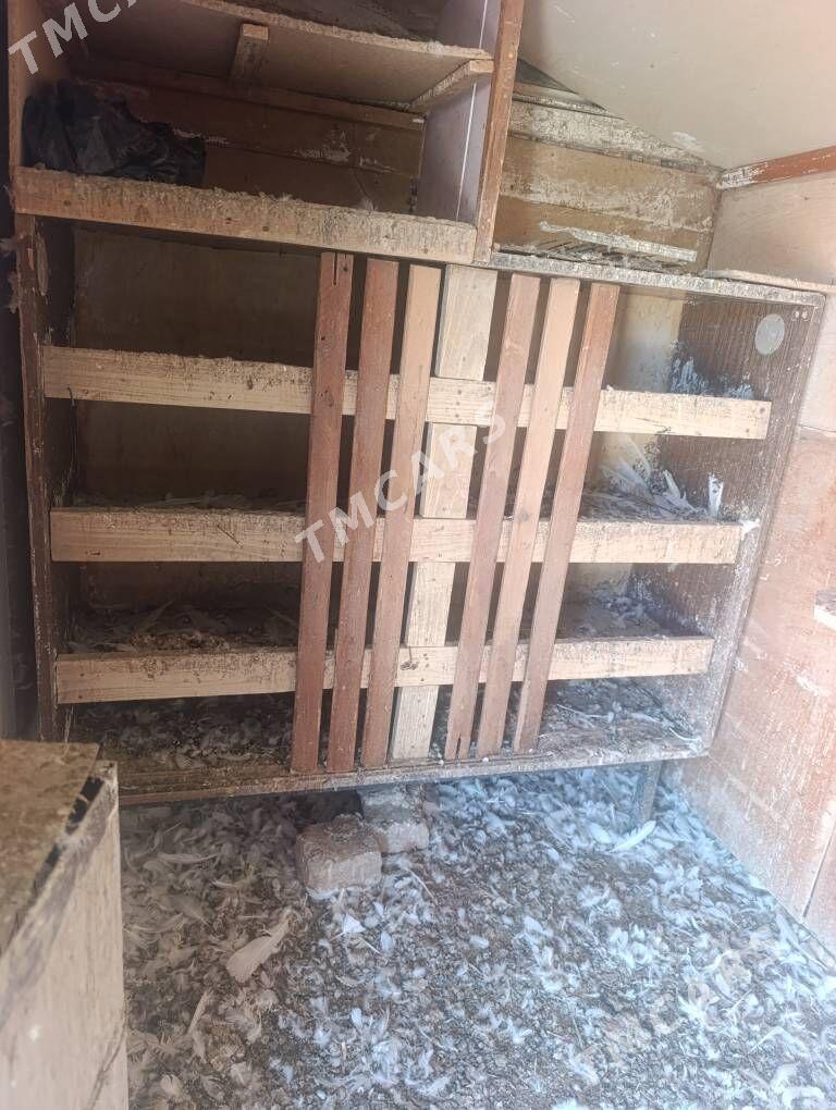 Kepderi - Türkmenbaşy - img 5