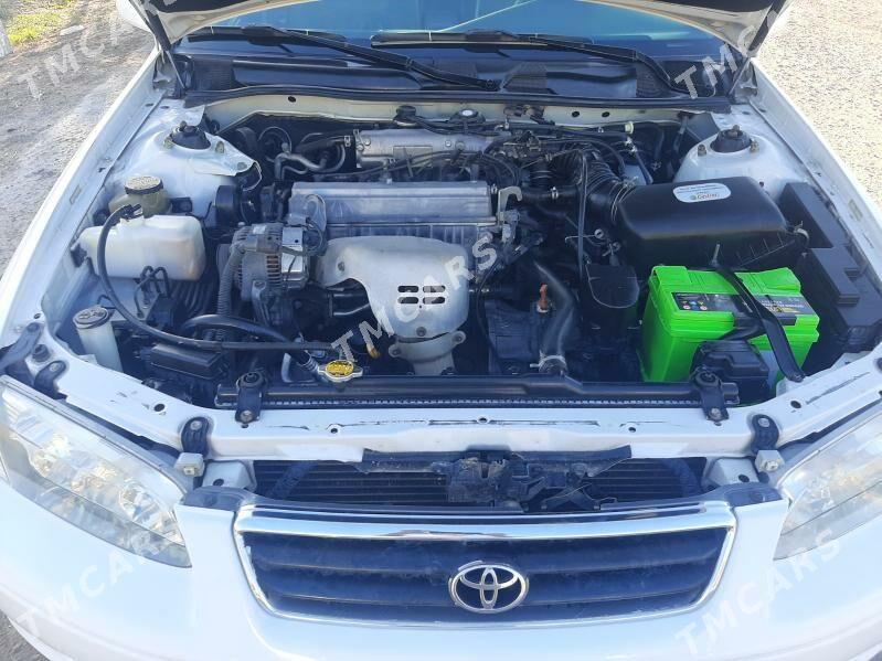 Toyota Camry 2000 - 170 000 TMT - Daşoguz - img 8