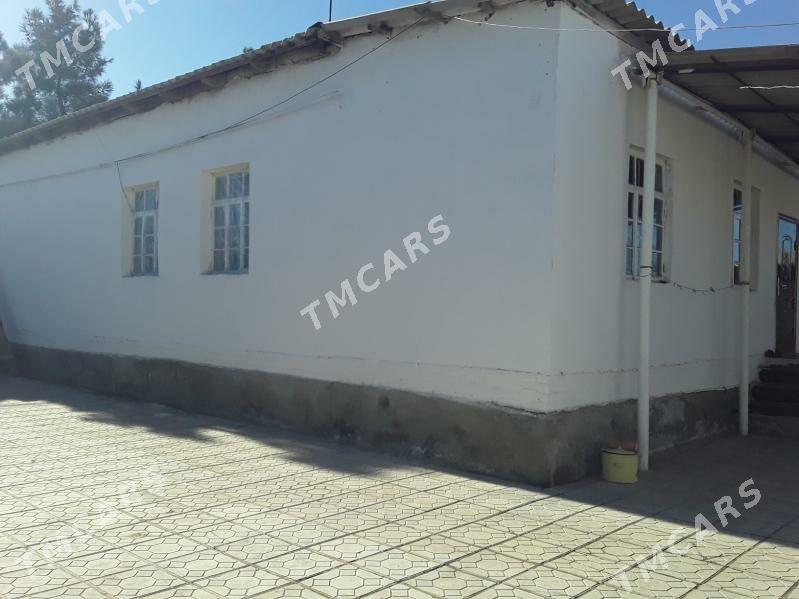 Tejen ş. Konstitusiya koce. - Tejen - img 3