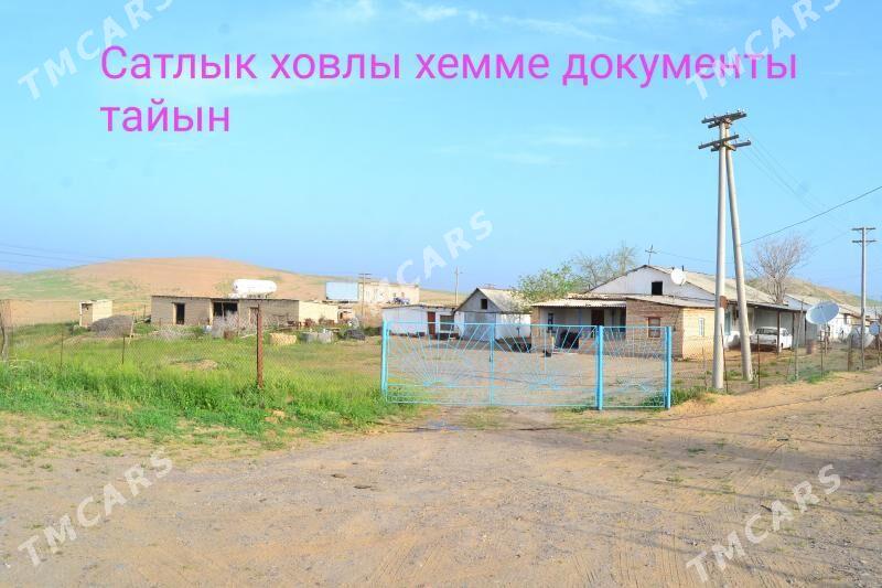 Ховлы жай - Tagtabazar - img 5