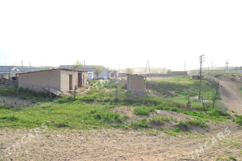 Ховлы жай - Tagtabazar - img 7