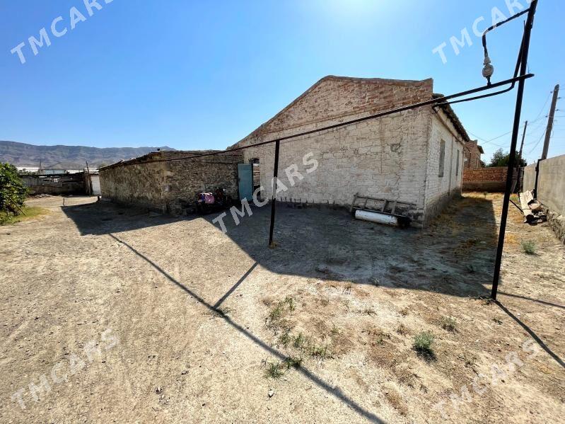 Bereket - Bereket - img 2