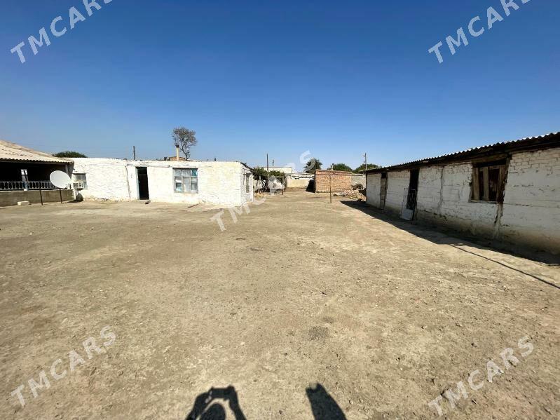 Bereket - Bereket - img 5