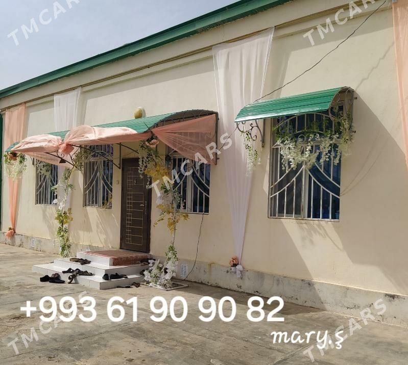ofarmlenya un mata arka tumba - Mary - img 2