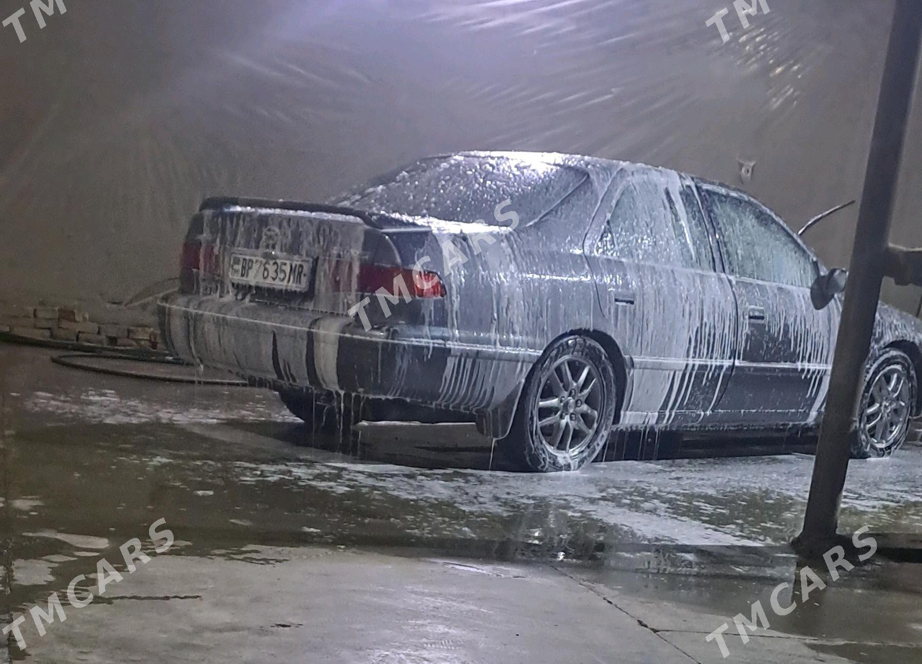 Toyota Camry 1998 - 145 000 TMT - Sakarçäge - img 2