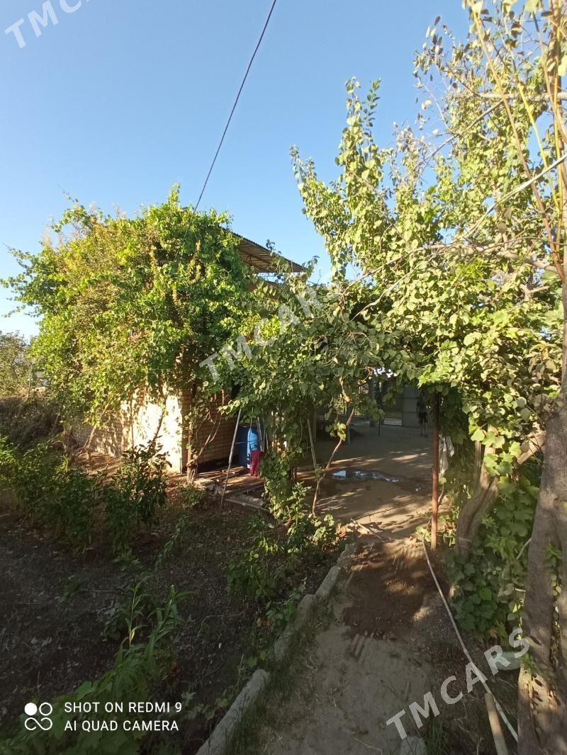 Дача dacha - Mary - img 8