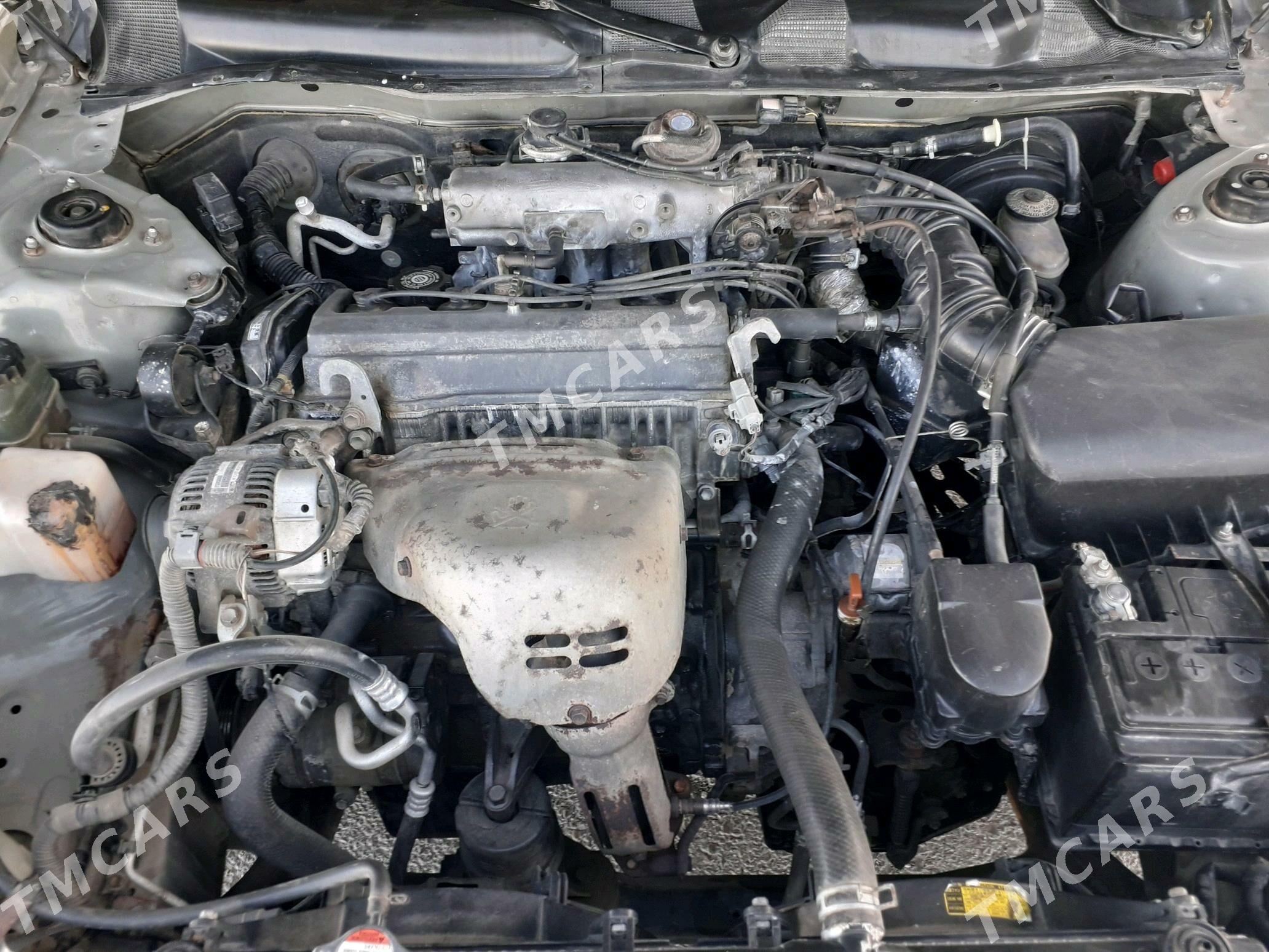 Toyota Camry 2000 - 145 000 TMT - Boldumsaz - img 5