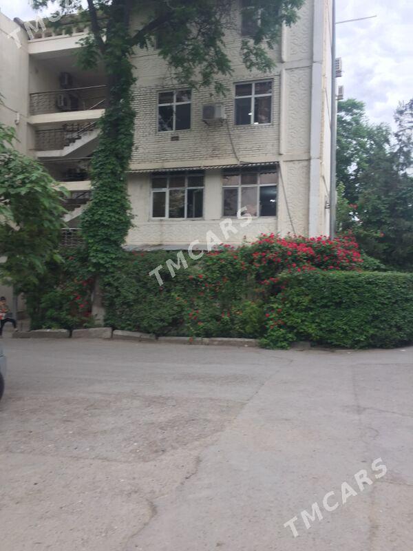 Alyšir Nowai - Aşgabat - img 5