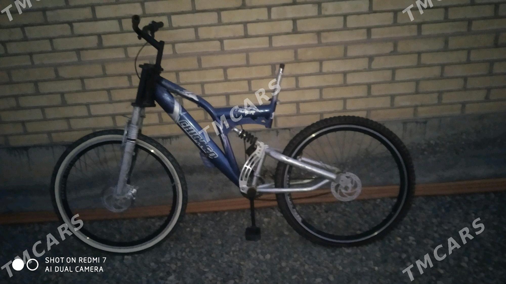 amesatr - Sakarçäge - img 2
