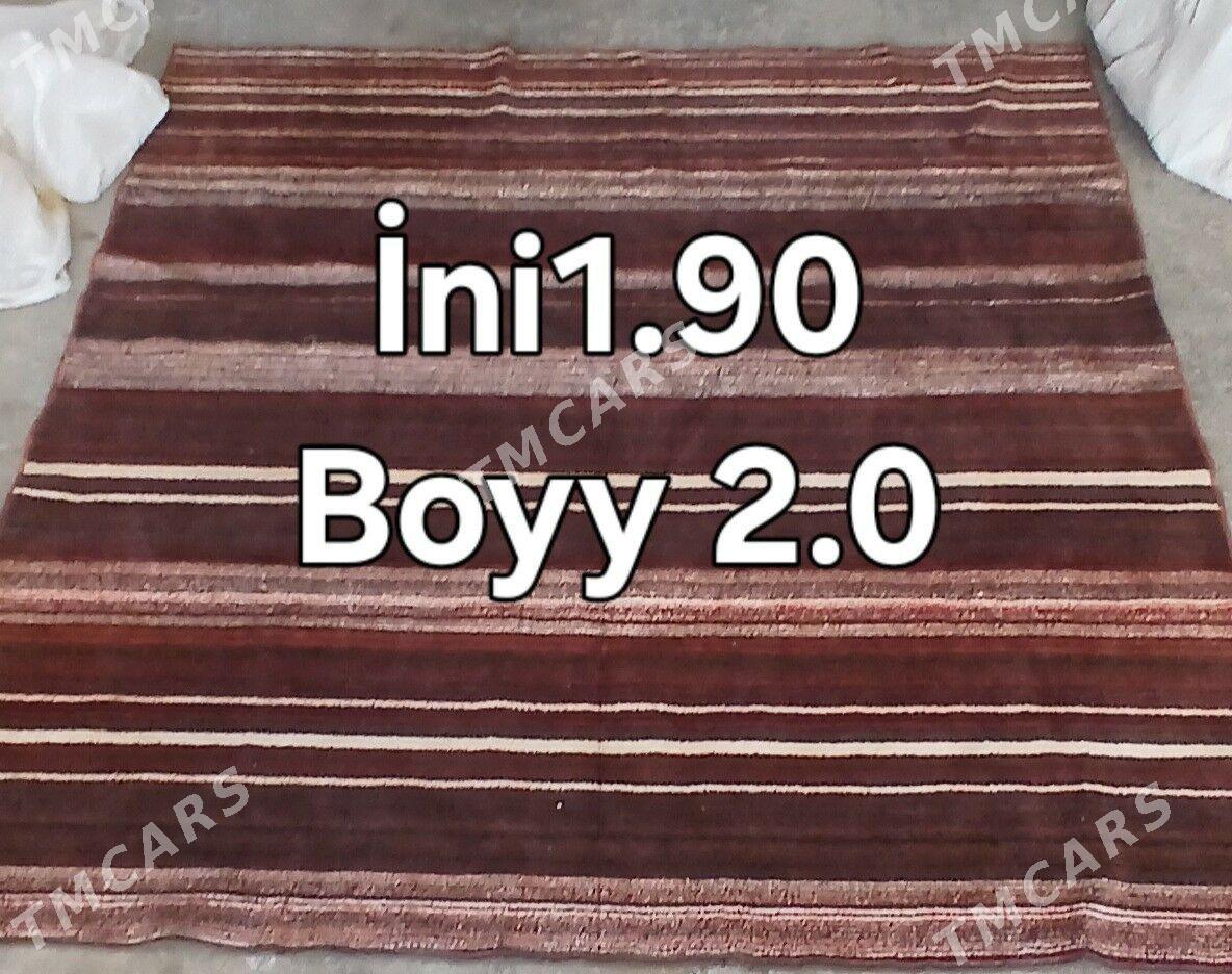 Haly - Hitrowka - img 2