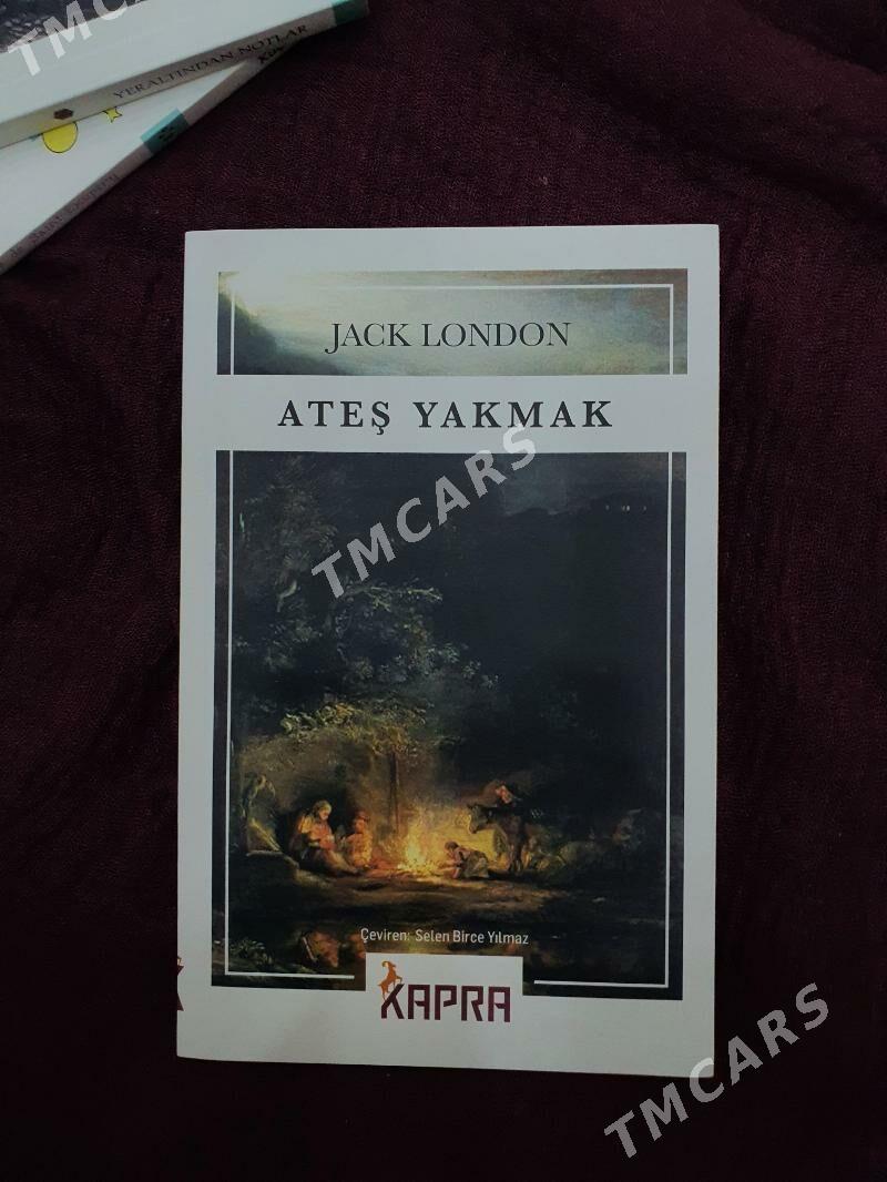 Türkçe kitaplar - Hitrowka - img 3