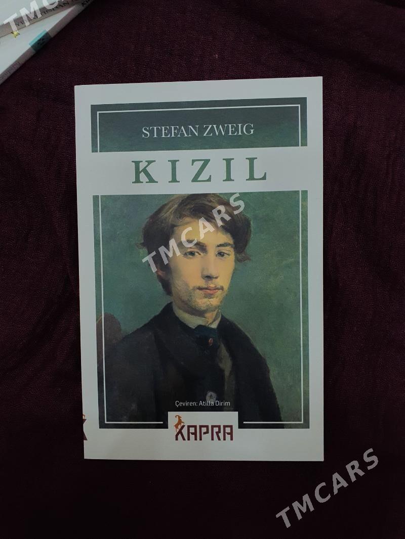 Türkçe kitaplar - Hitrowka - img 2