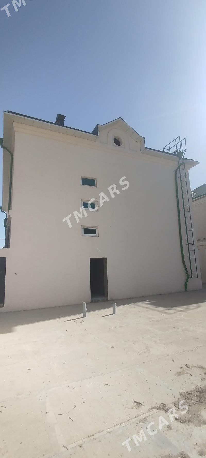 Zleska kotej - Türkmenabat - img 2