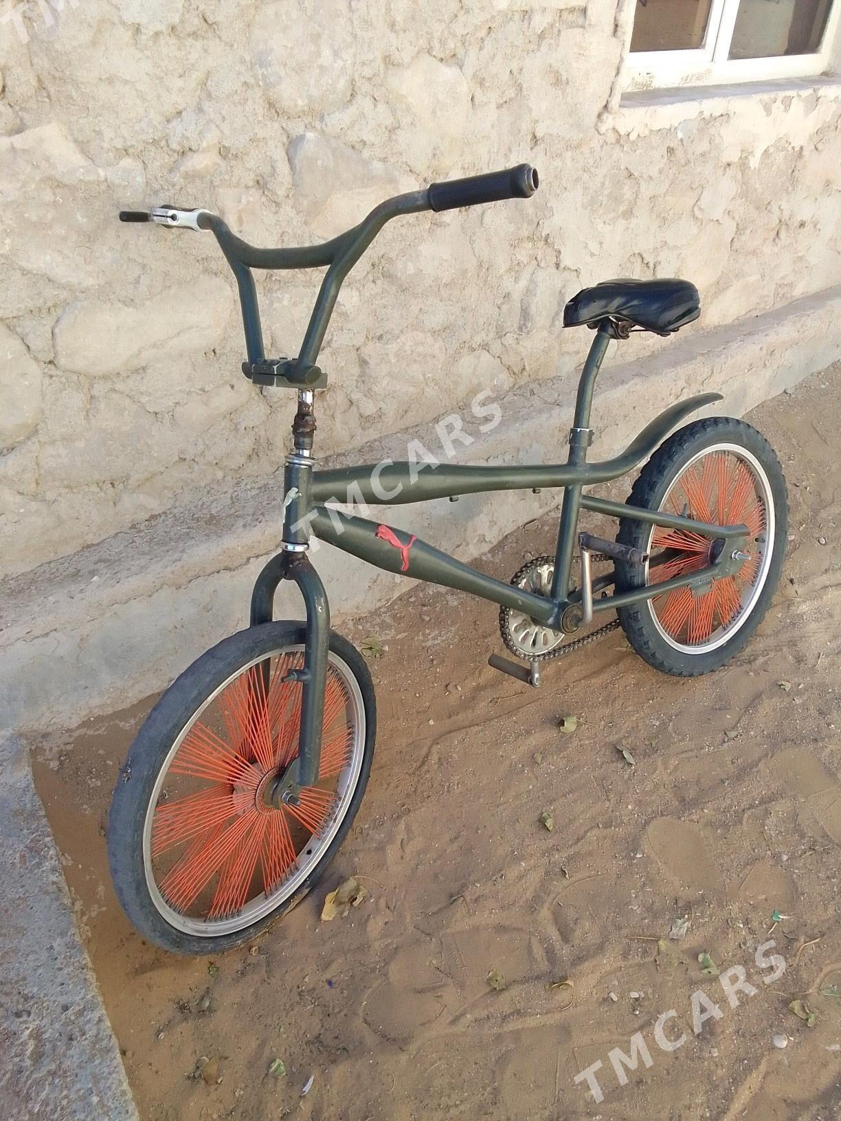Welik - Jebel - img 3