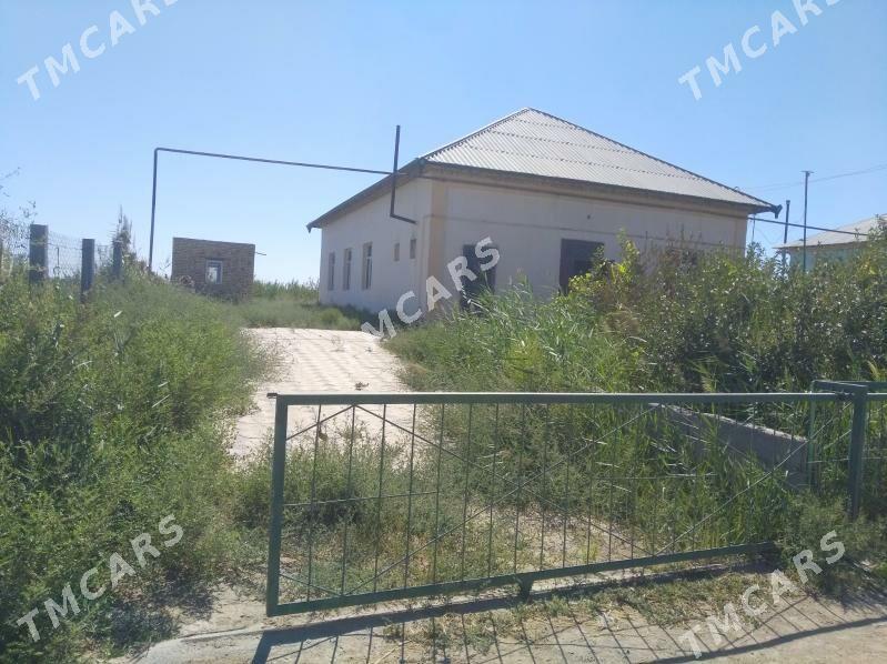 ucaska - Şabat etr. - img 3