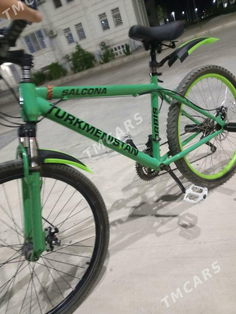 Turkmenistan salkoma - Ak bugdaý etraby - img 2