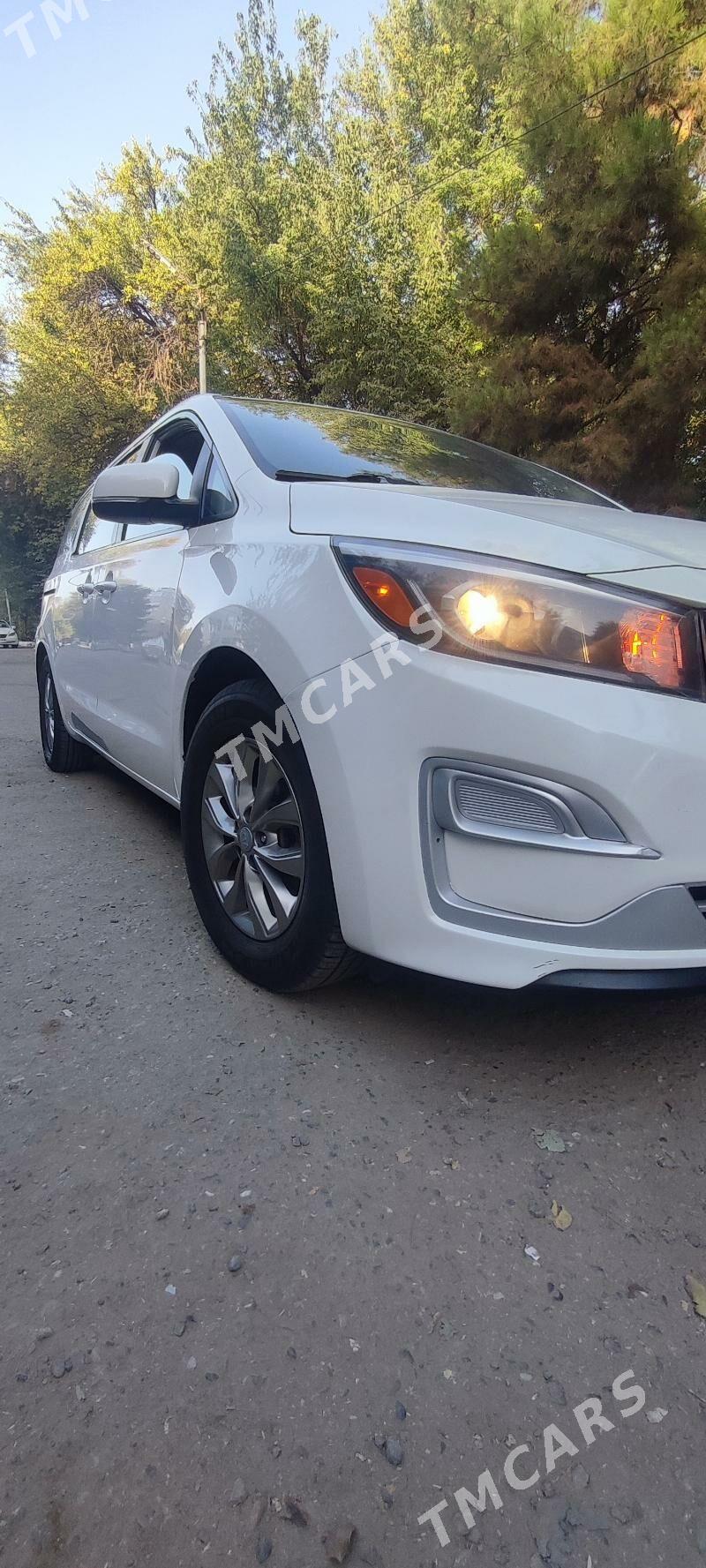 Kia Sedona 2019 - 330 000 TMT - Ашхабад - img 3
