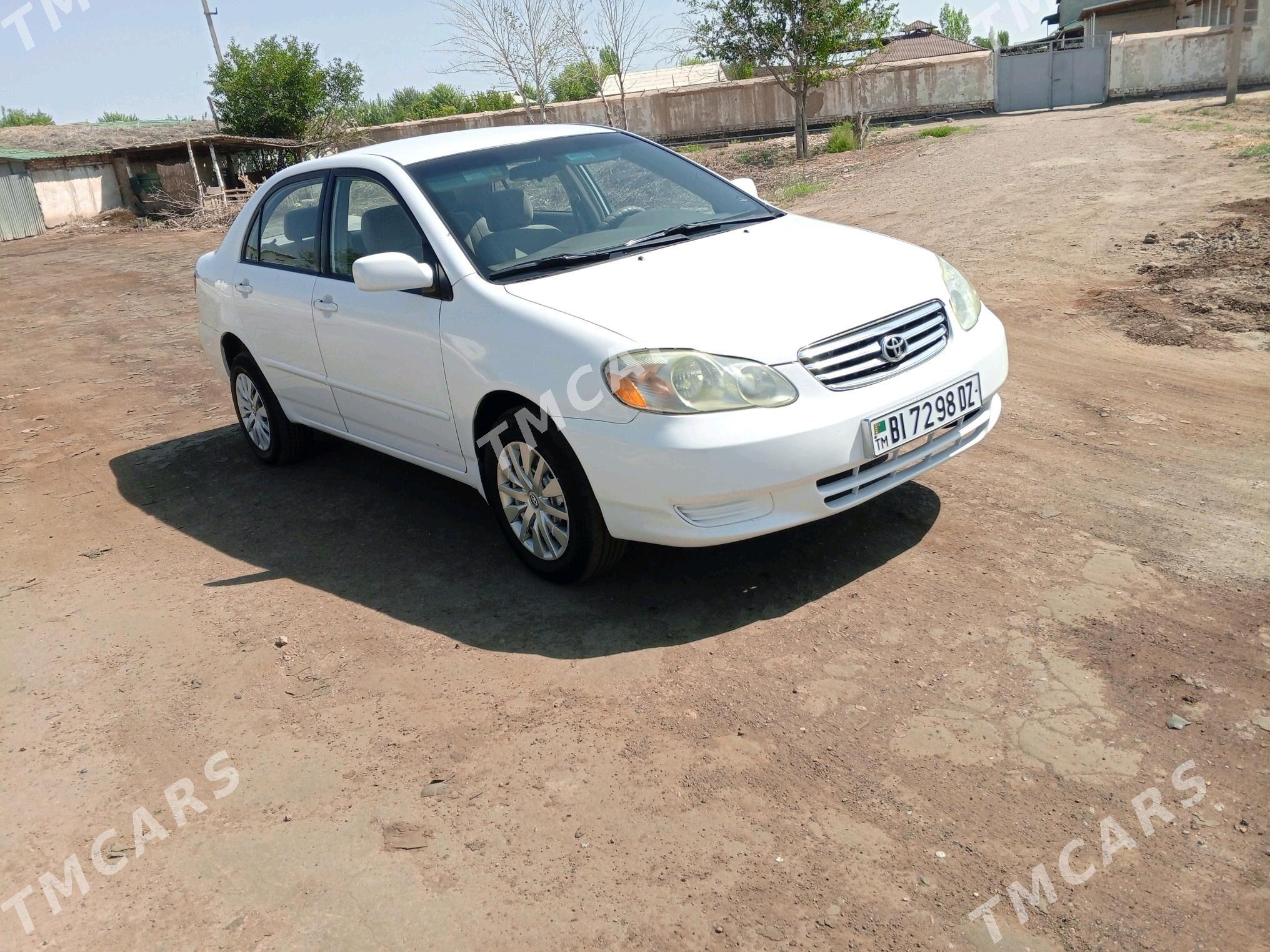 Toyota Corolla 2003 - 116 000 TMT - Кёнеургенч - img 8