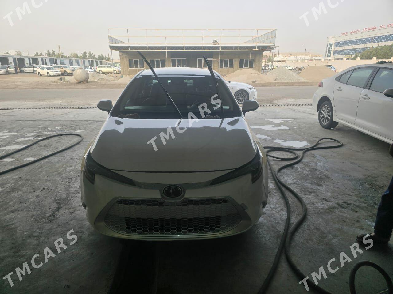 Toyota Corolla 2020 - 230 000 TMT - Mary - img 2