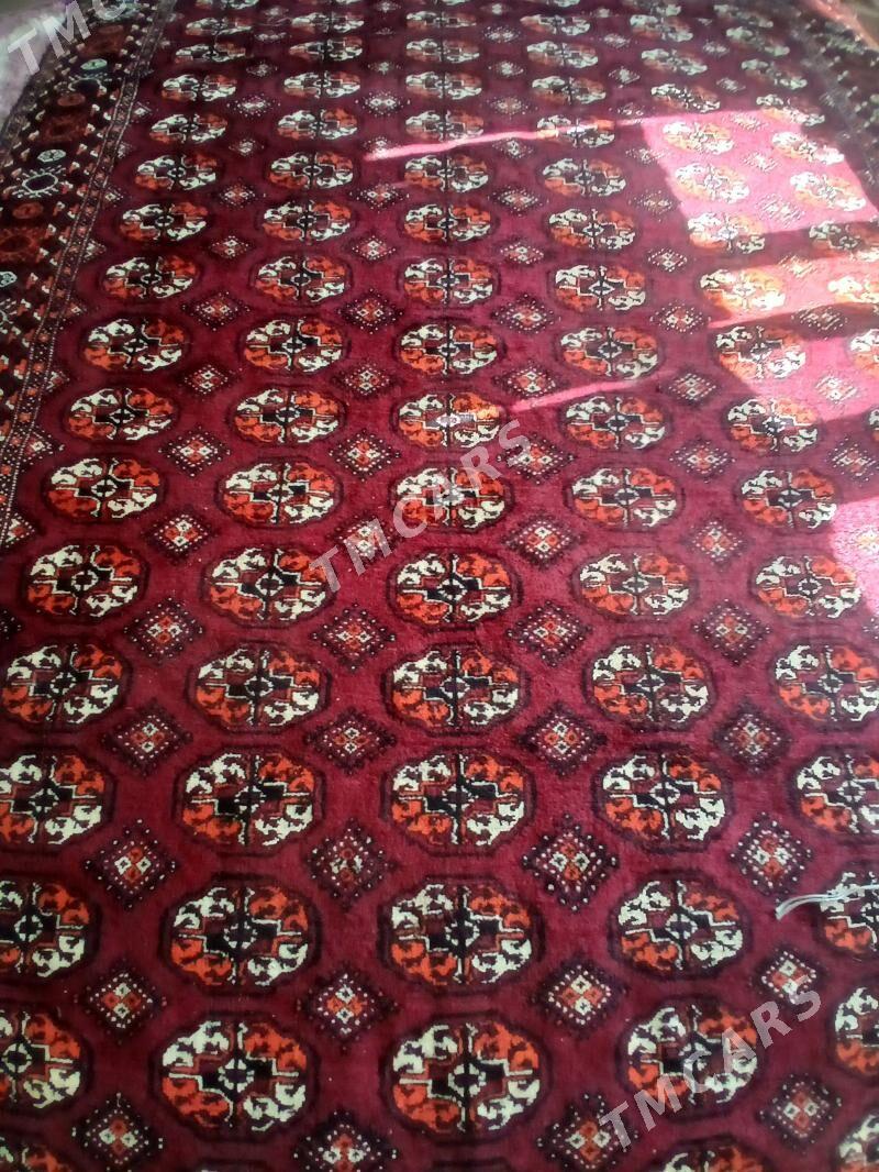 Gara  haly. - Türkmenbaşy - img 4