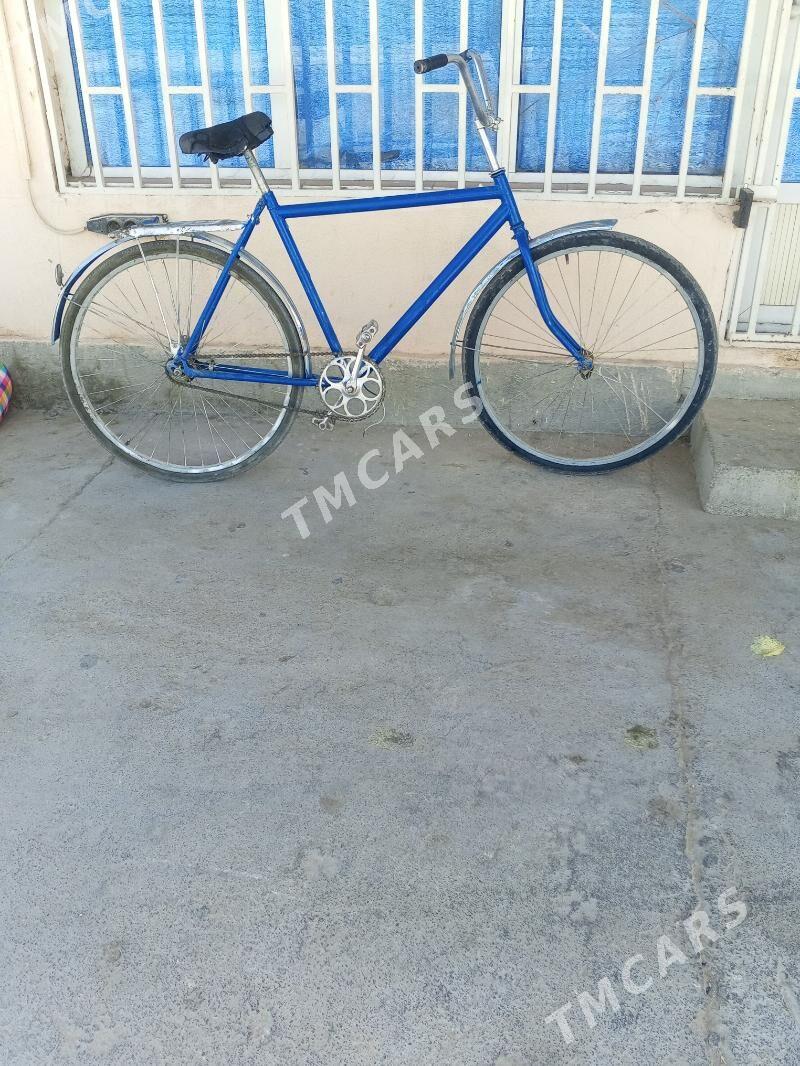 tigir - Büzmeýin - img 2