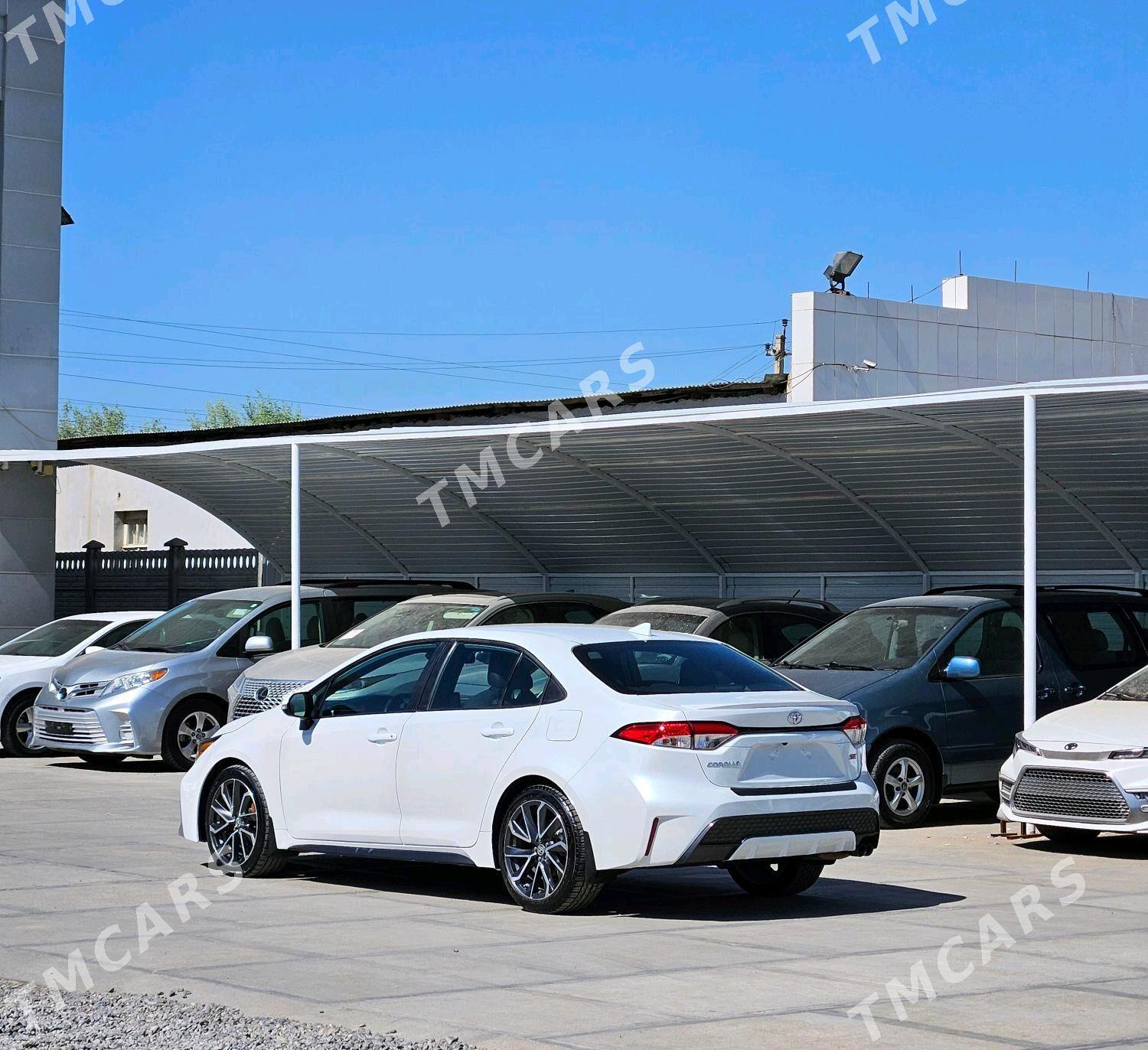 Toyota Corolla 2020 - 250 000 TMT - Мары - img 5
