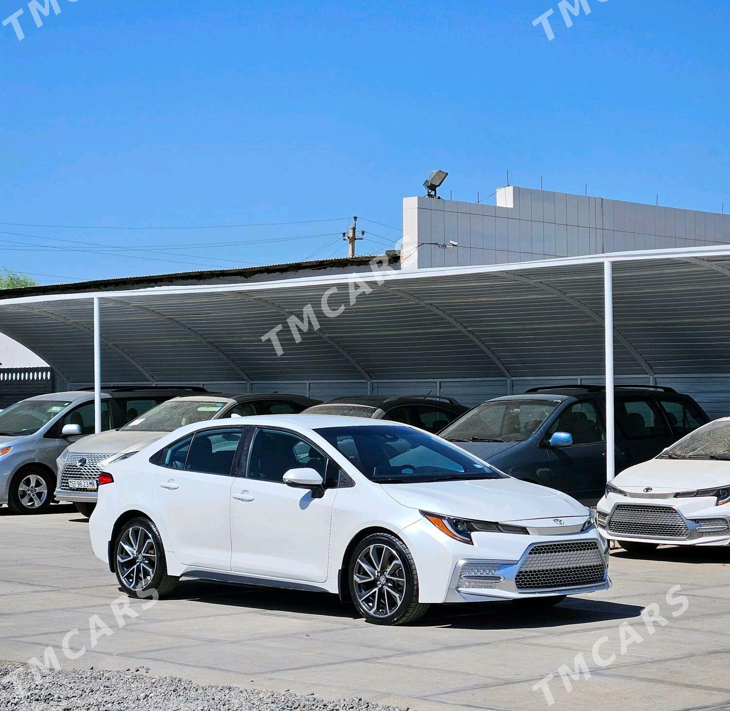 Toyota Corolla 2020 - 250 000 TMT - Мары - img 2