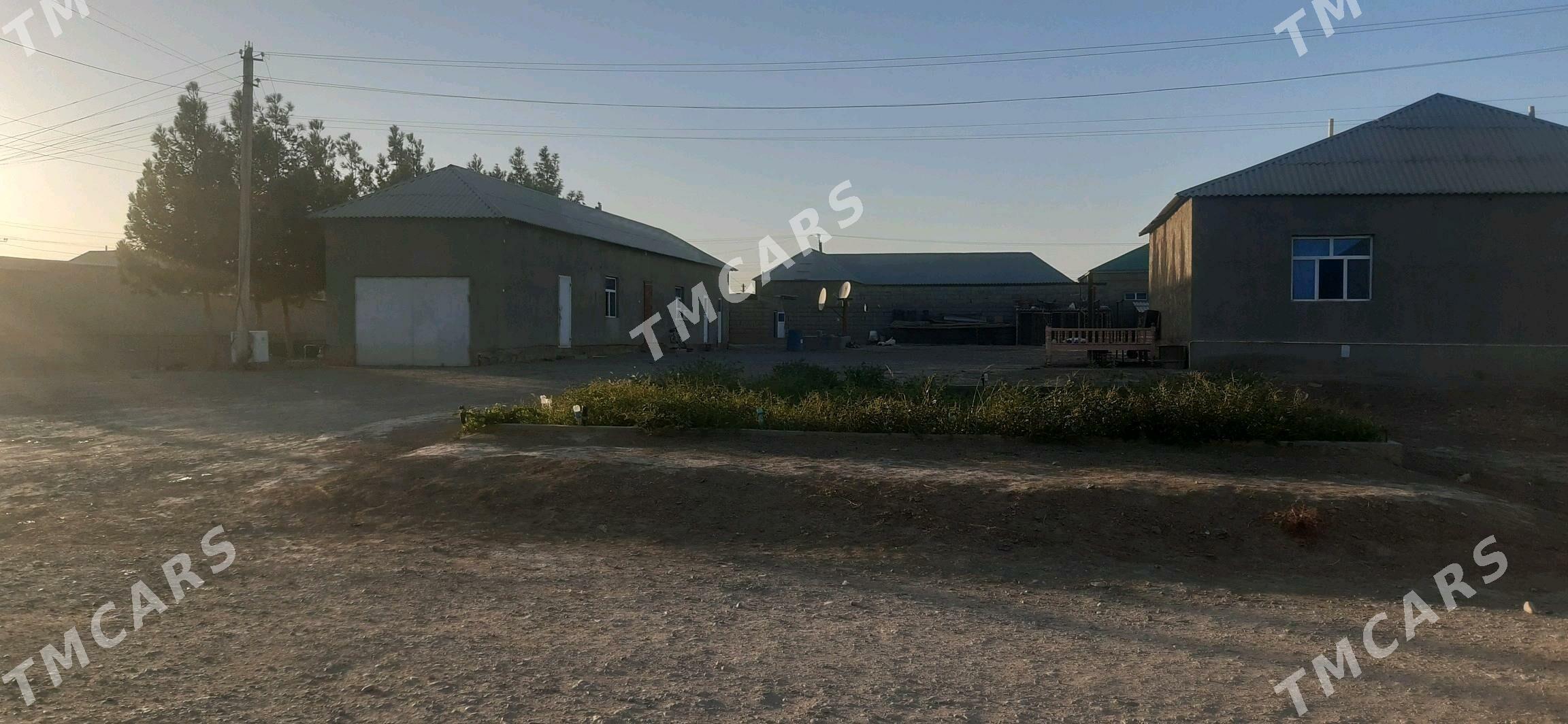 Tejen.Ş.Jaý - Теджен - img 7