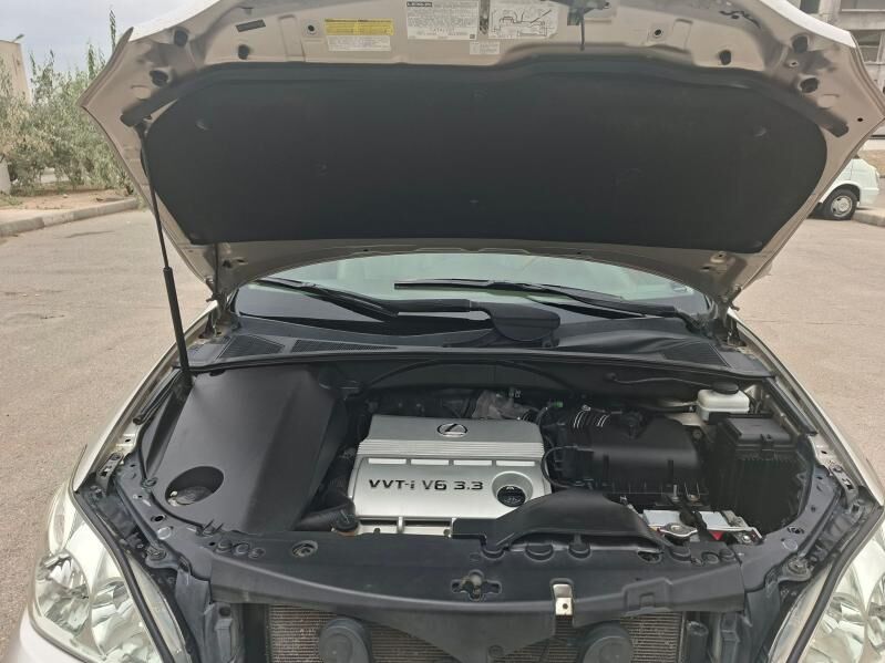 Lexus RX 330 2005 - 275 000 TMT - Aşgabat - img 10