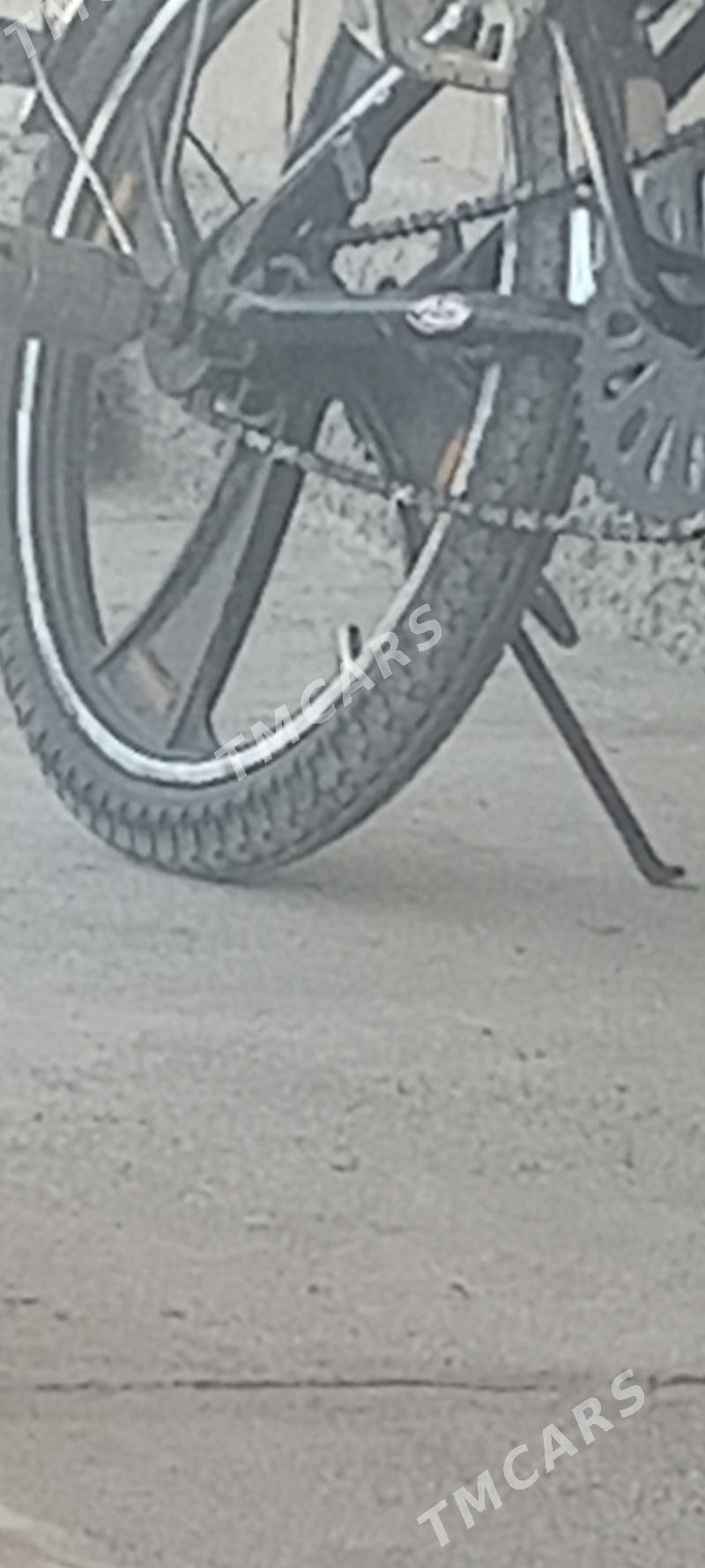 kama duga tigir - Kaka - img 2
