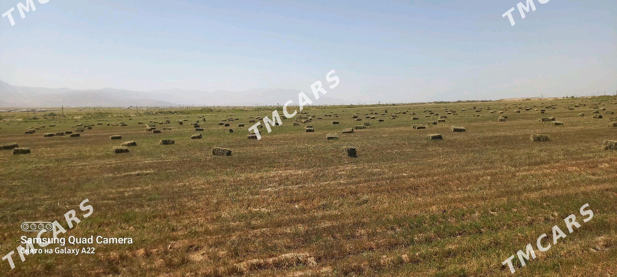 yorunja pyres - Гёкдепе - img 4