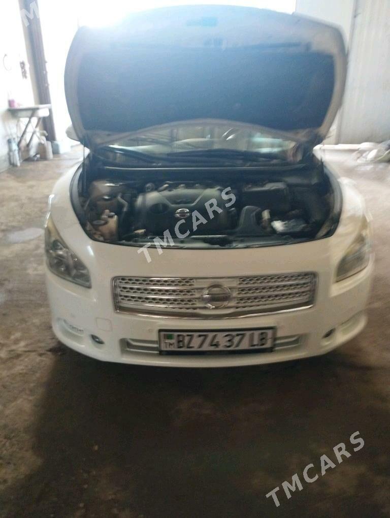 Nissan Maxima 2010 - 140 000 TMT - Türkmenabat - img 2