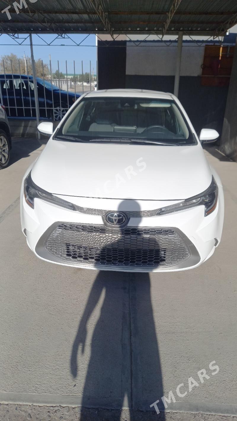 Toyota Corolla 2020 - 240 000 TMT - Mary - img 5