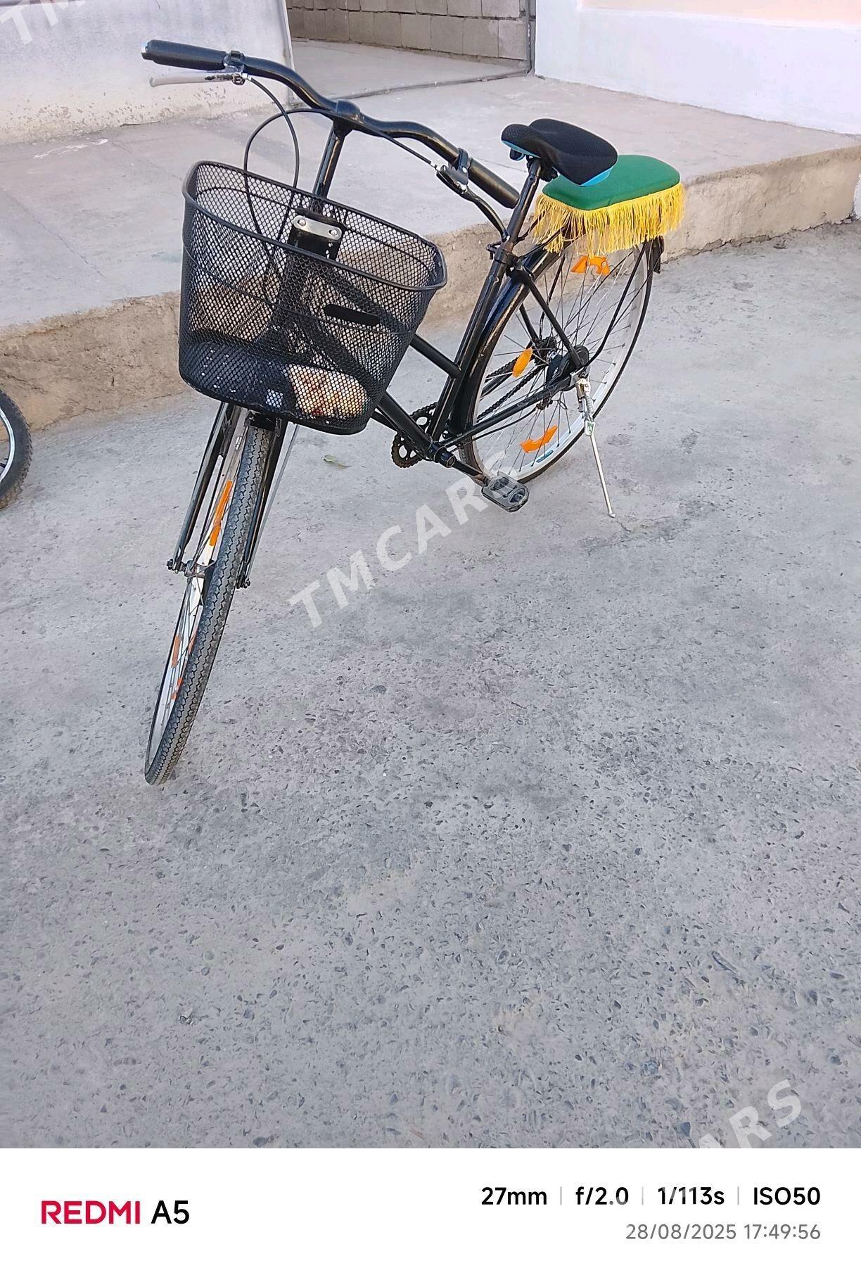 yapon tigir - Bagyr - img 2
