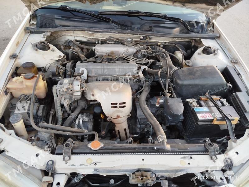 Toyota Camry 1999 - 135 000 TMT - Kerki - img 3