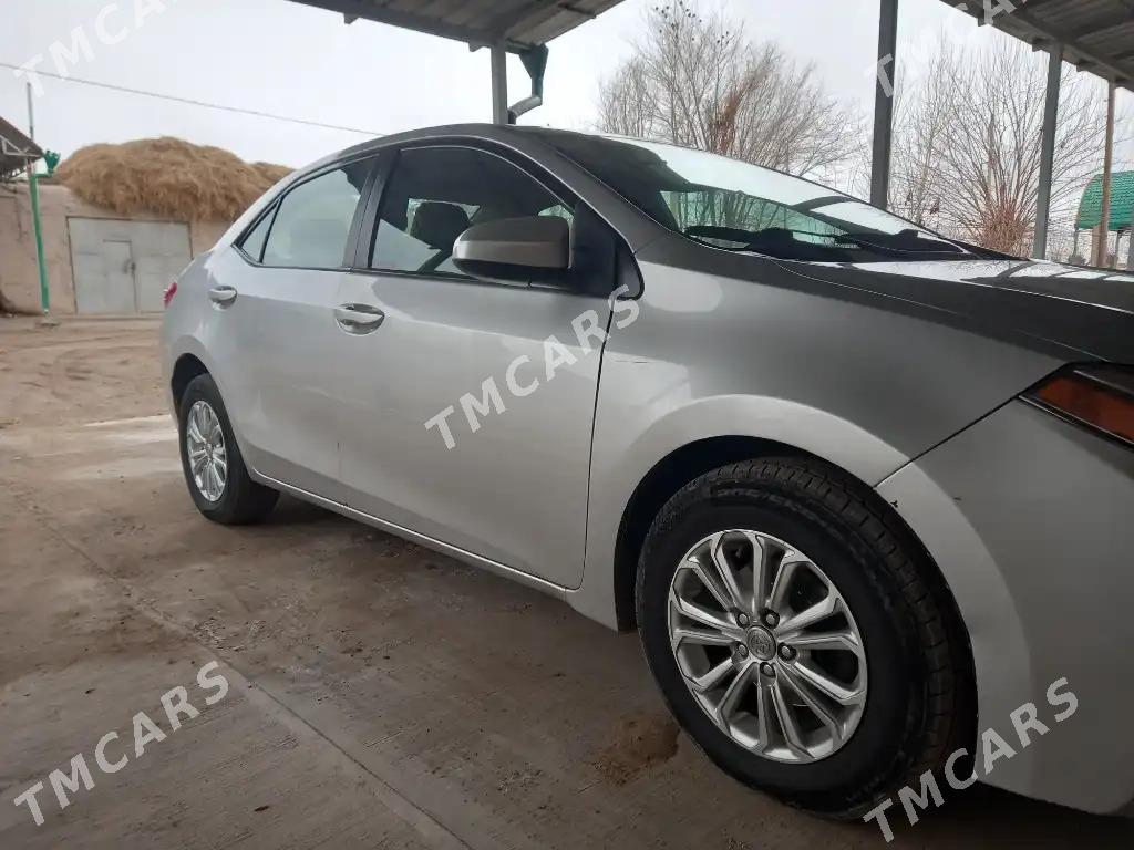 Toyota Corolla 2014 - 170 000 TMT - Gurbansoltan Eje - img 2