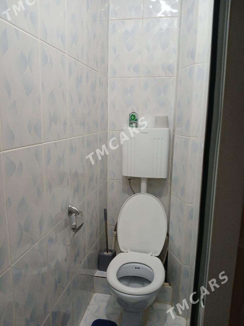 от хозяина Бюзмеин томатный - Aşgabat - img 9