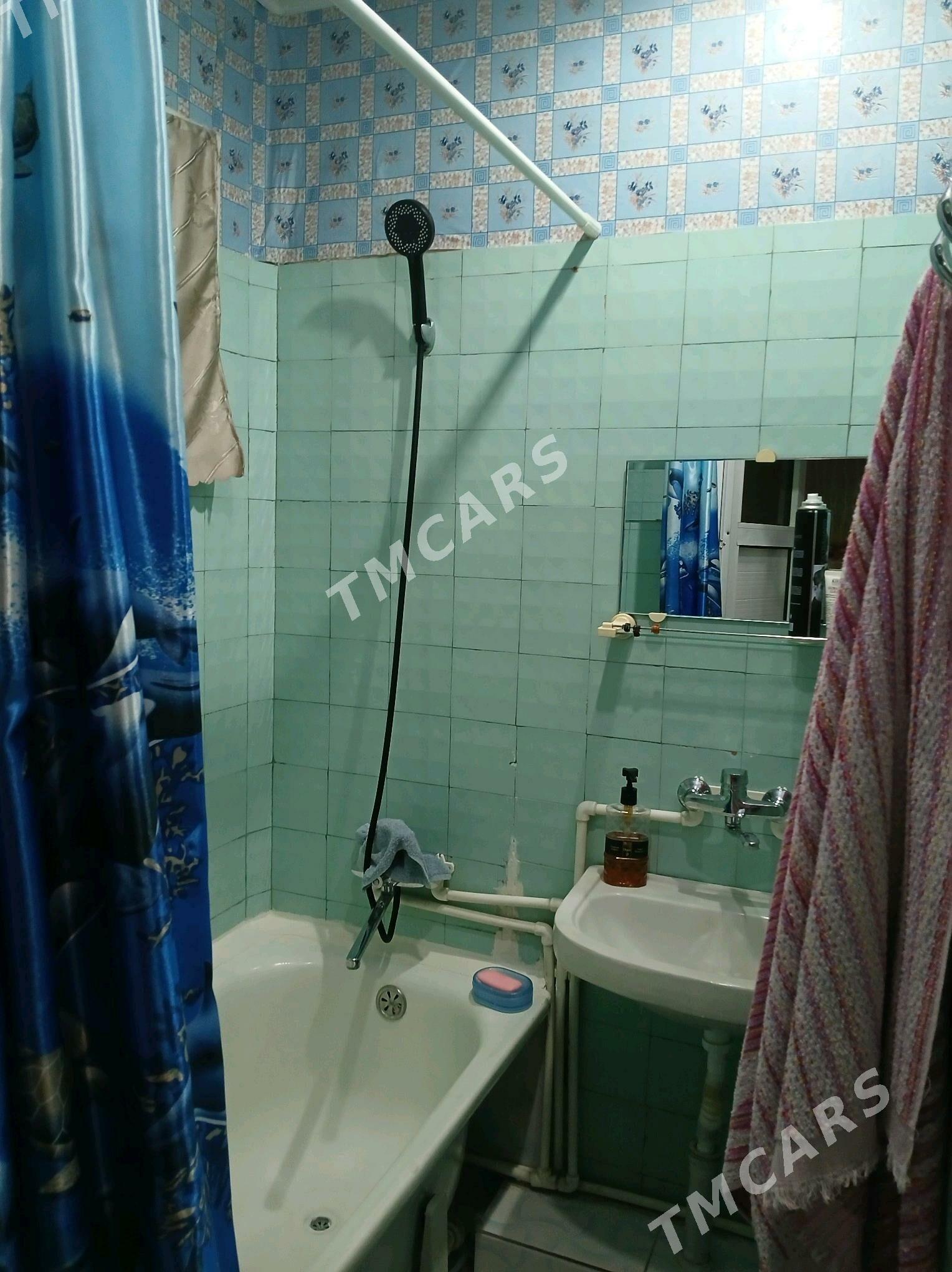 от хозяина Бюзмеин томатный - Aşgabat - img 10