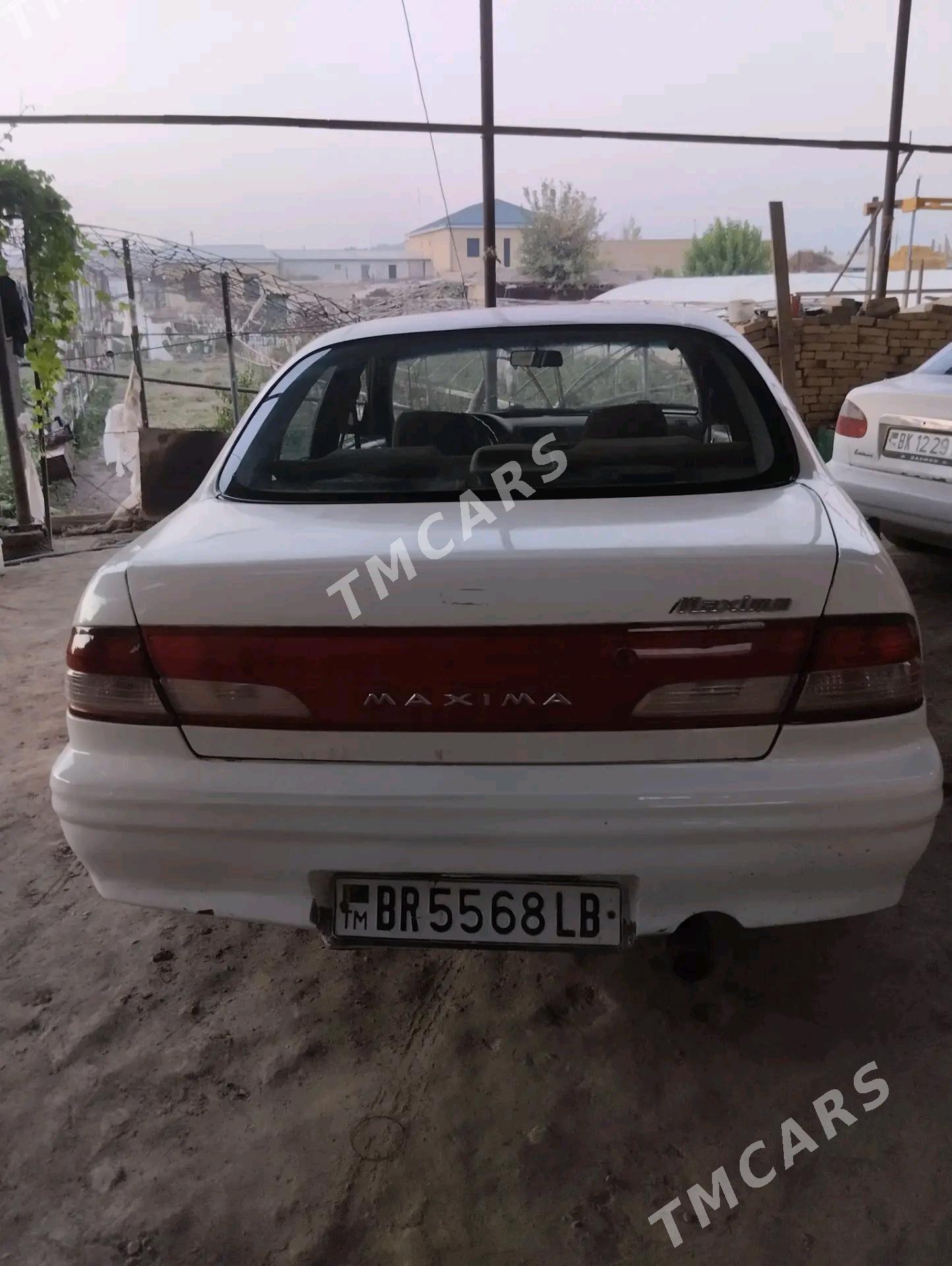 Nissan Maxima 1999 - 37 000 TMT - Türkmenabat - img 5