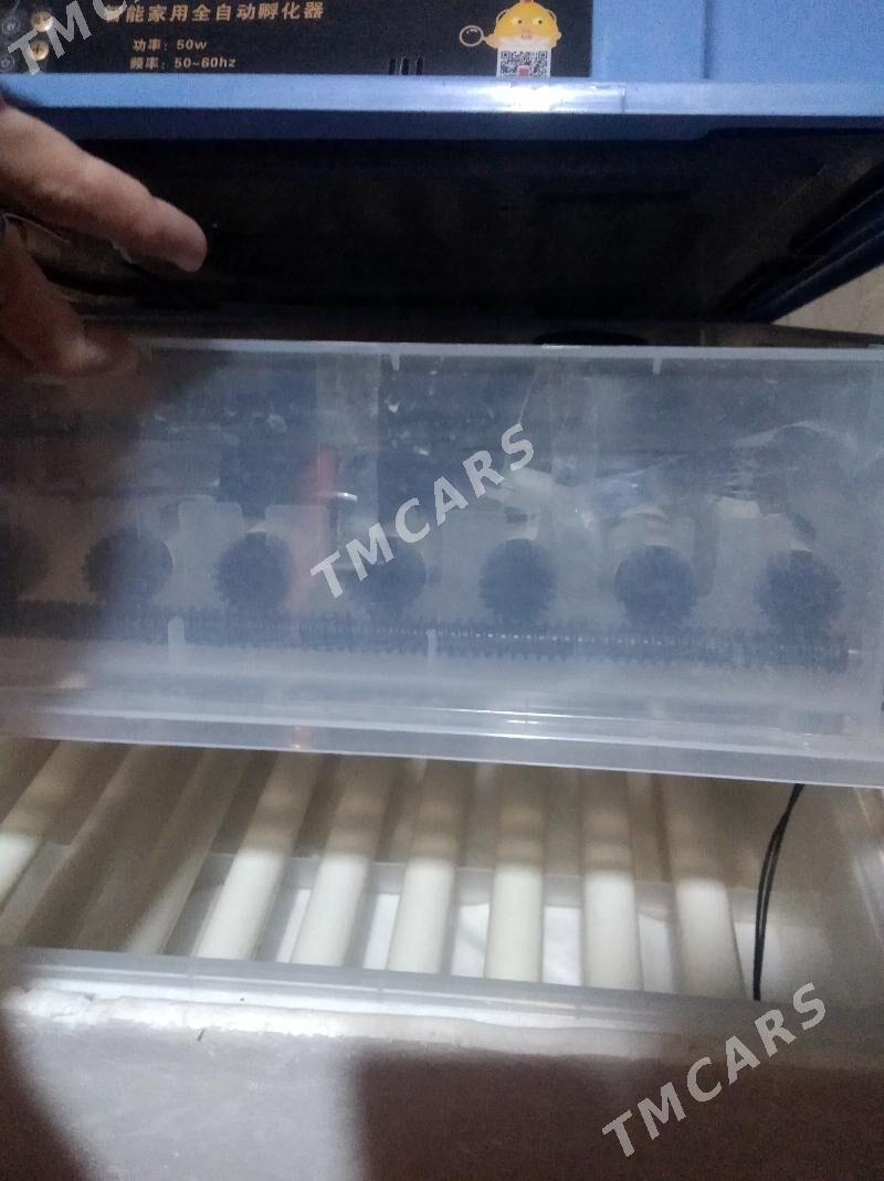 inkubator 120 ştuk - Daşoguz - img 2