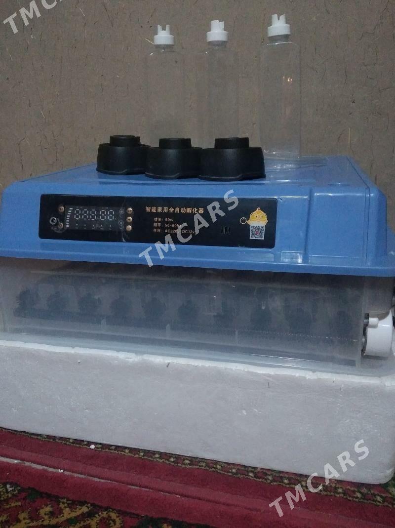 inkubator 120 ştuk - Daşoguz - img 3